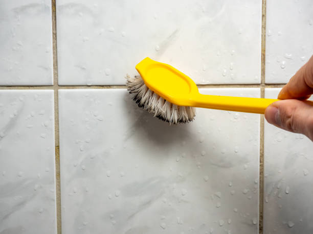 Best Mold Removal and Inspection  in Aurora, TX
