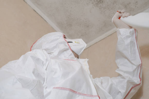 Best Black Mold Removal  in Aurora, TX