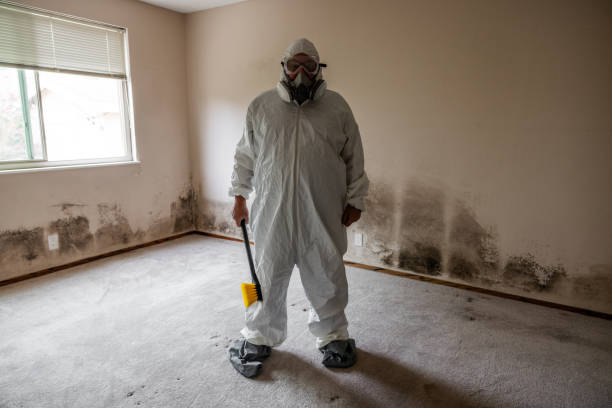 Trusted Aurora, TX Mold Removal Experts